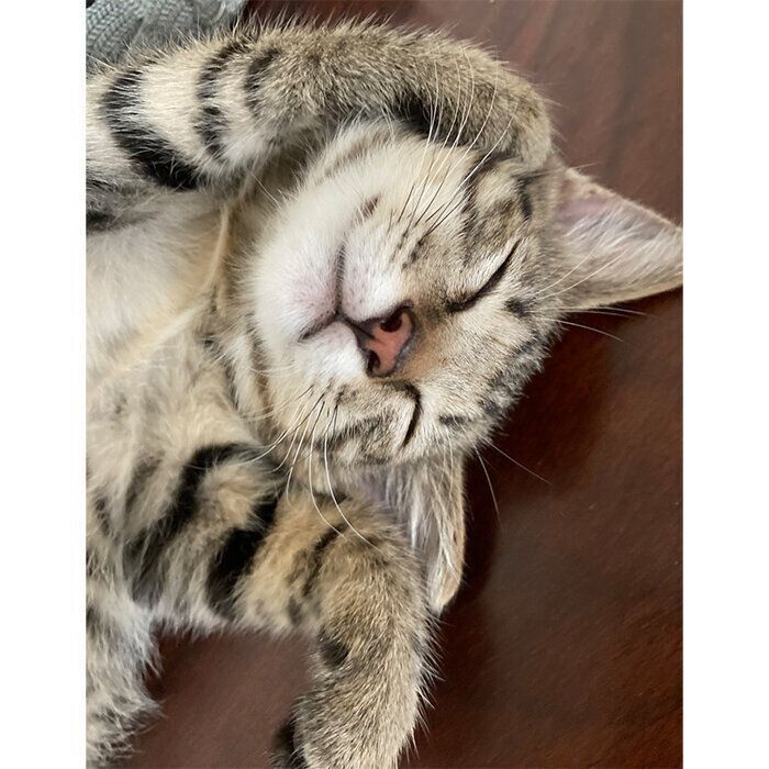 眠るルイくん
