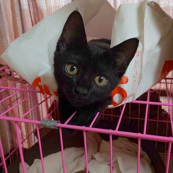 くつろぐむーたん