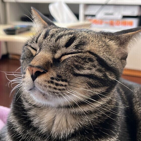 おねむの顔をするコロンくん