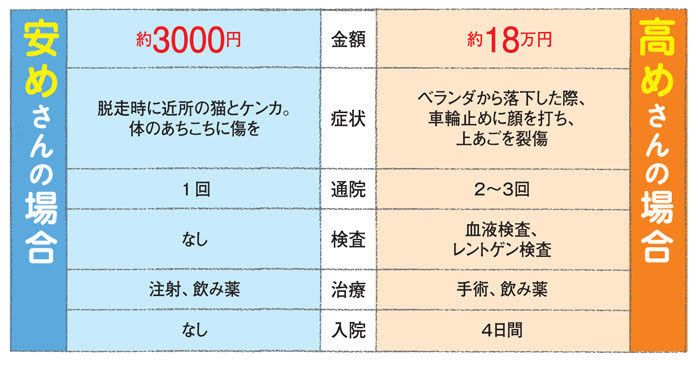 「ねこのきもち」2016年9月号