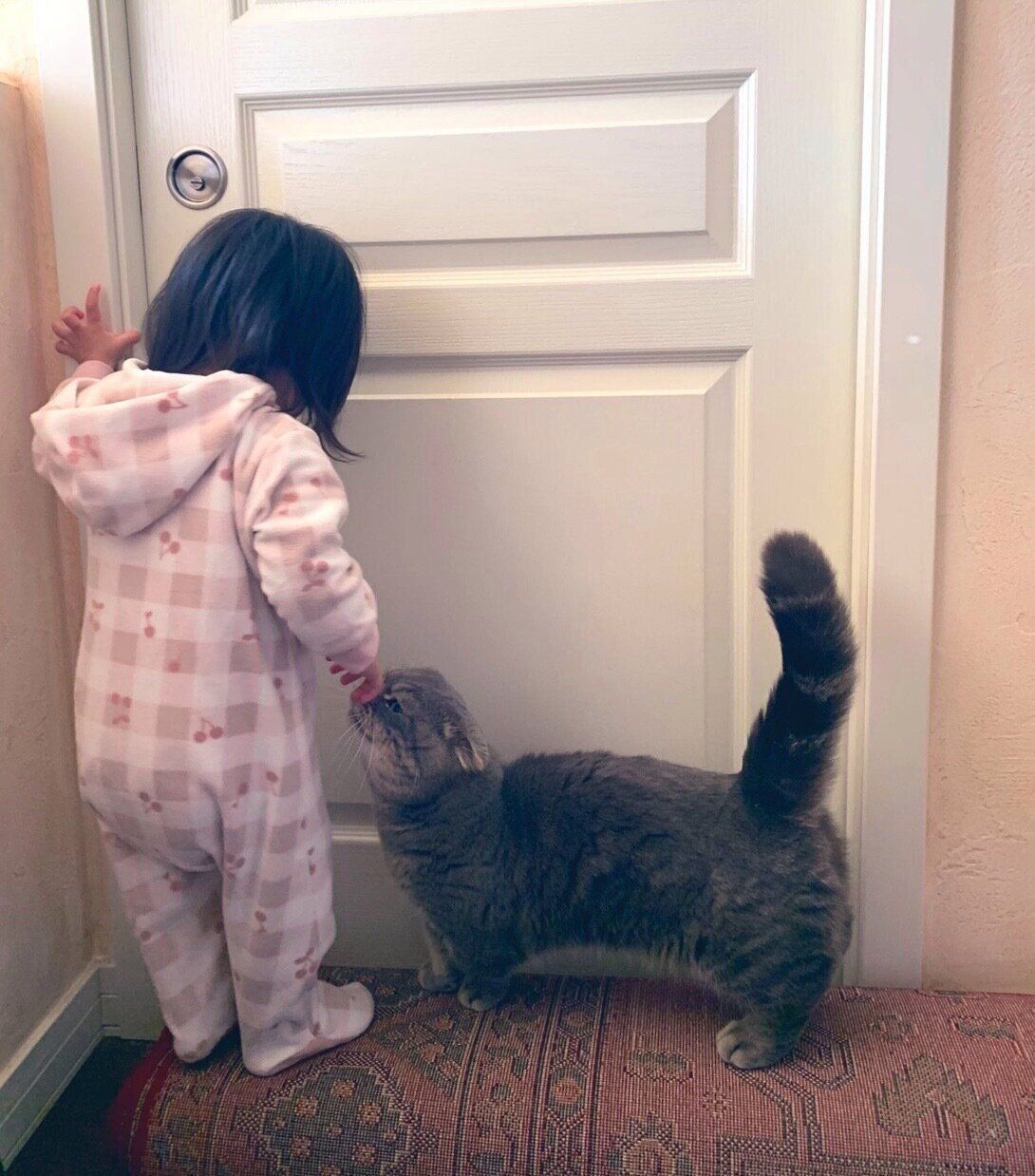 娘さんのことを見守るたこやきくん