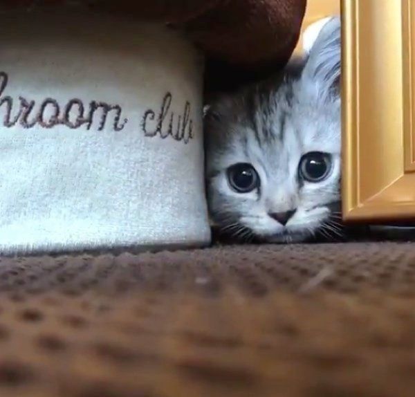 そろりそろりと進むリタロくん