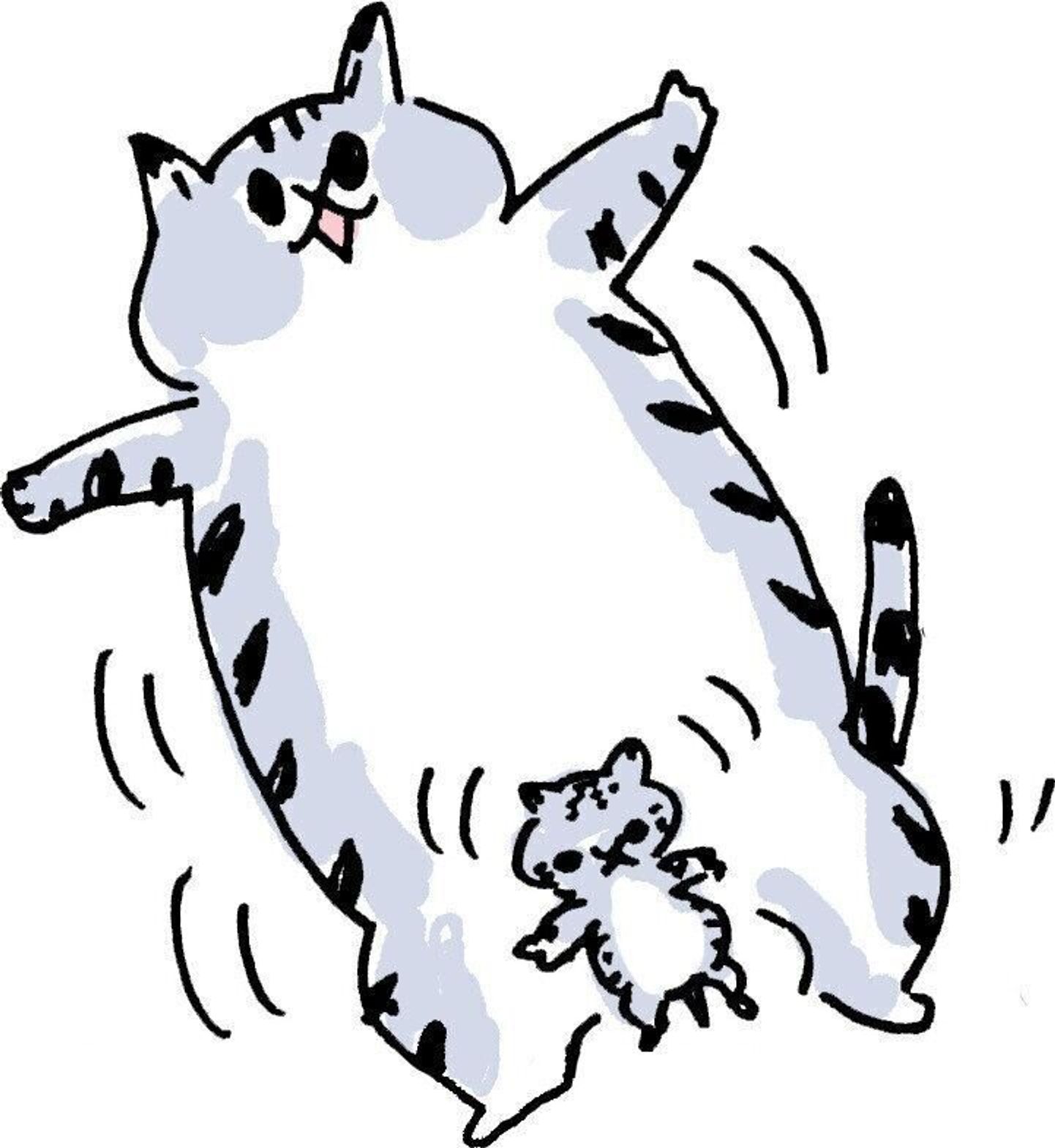 Pr 今だけフードプレゼント わかる 子ねこ期あるあるに思わず共感 ねこのきもちweb Magazine Pr 今だけフードプレゼント わかる 子ねこ期あるあるに思わず共感 ねこのきもちweb Magazine