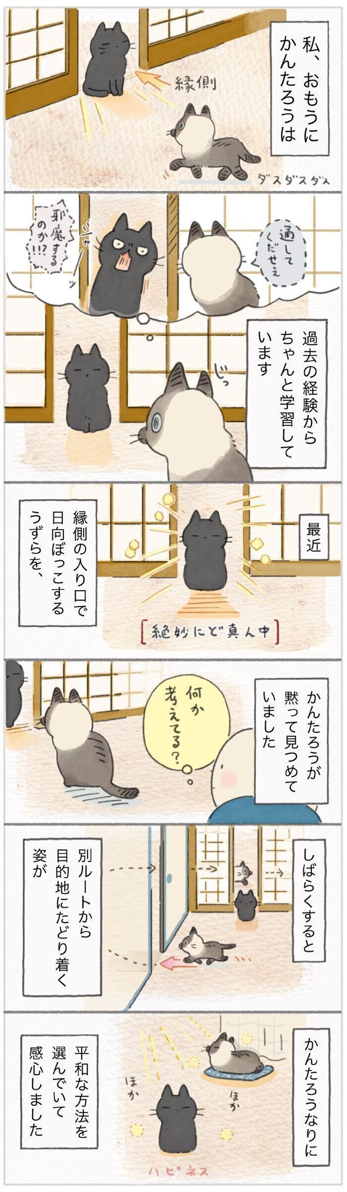 猫の学習能力の高さに飼い主も感動 もう強行突破だけが解決策じゃない 連載 ねこ連れ草 1話め ねこのきもちweb Magazine 猫の学習能力の高さに飼い主も感動 もう強行突破だけが解決策じゃない 連載 ねこ連れ草 1話め ねこのきもちweb Magazine