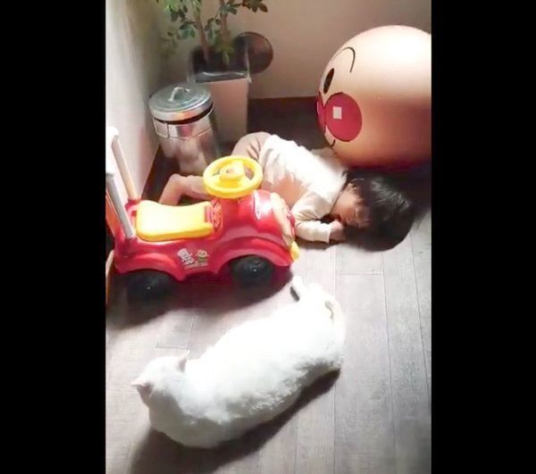 息子さんに寄り添うブランちゃん