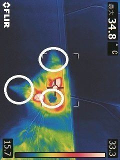 画像／2018年1月号「冷えとりマッサージ」