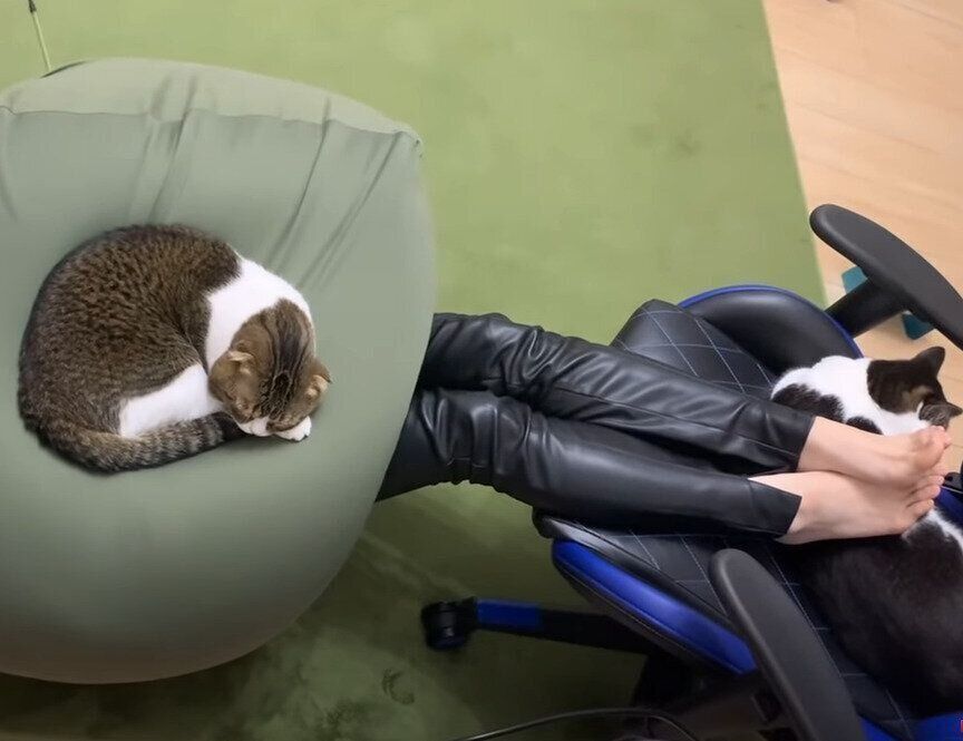 寝相の悪い方たち