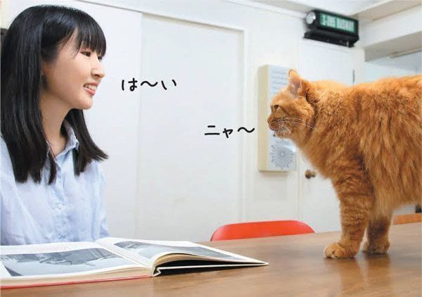 飼い主さんと会話する猫