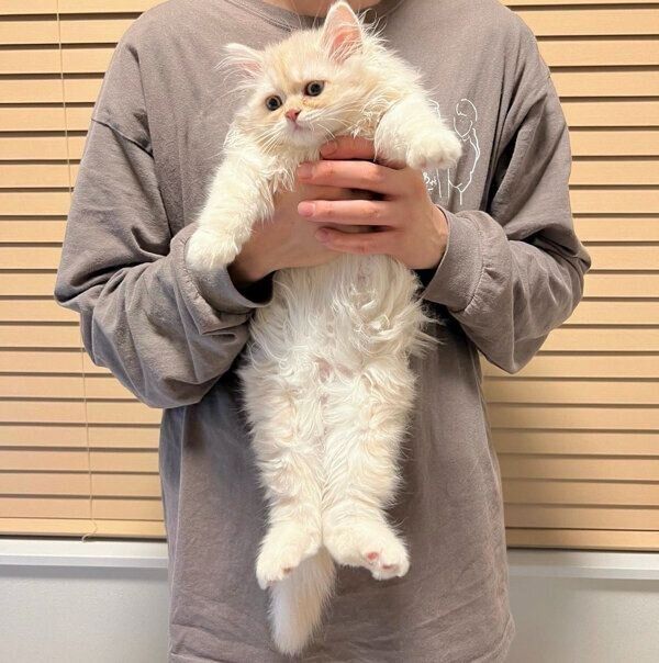 生後3カ月のハウルくん