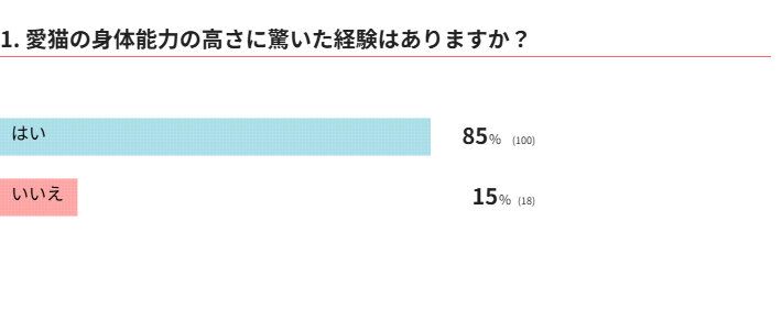 愛猫の身体能力の高さに驚いた経験はありますか？