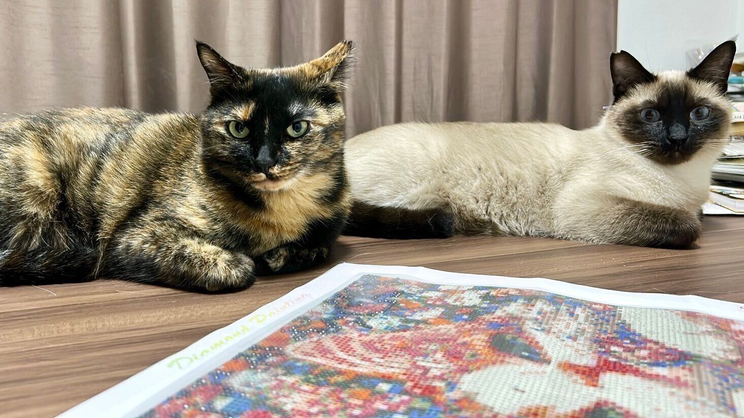 まったりするナッツくん、サラミちゃん