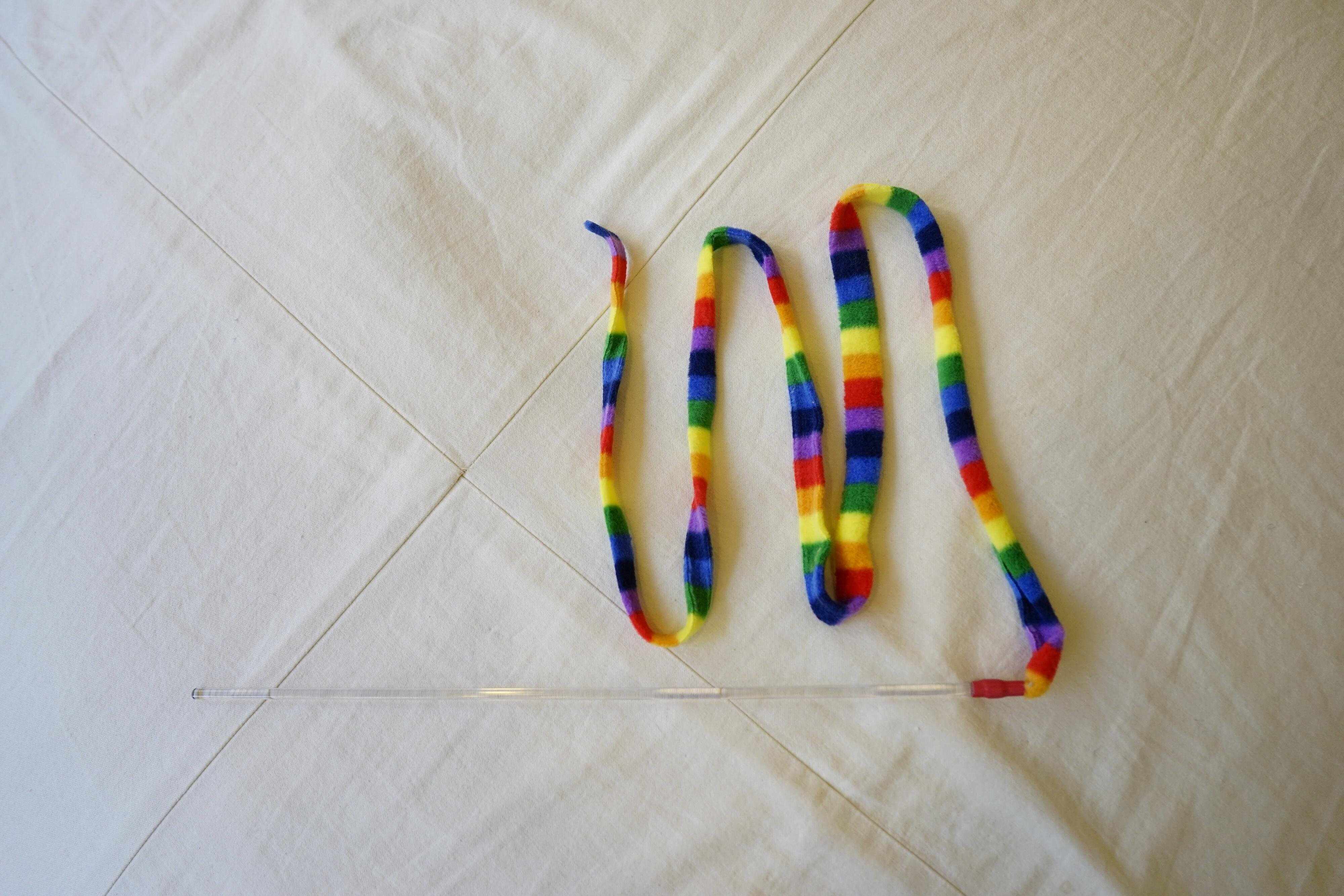 撮影／石原さくら