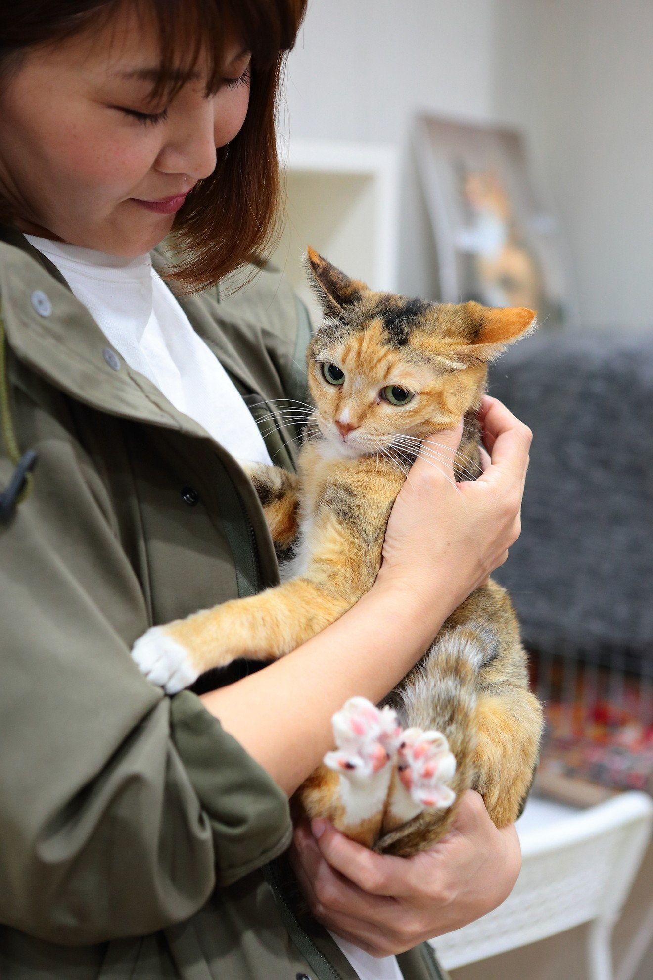 撮影／佐藤純子