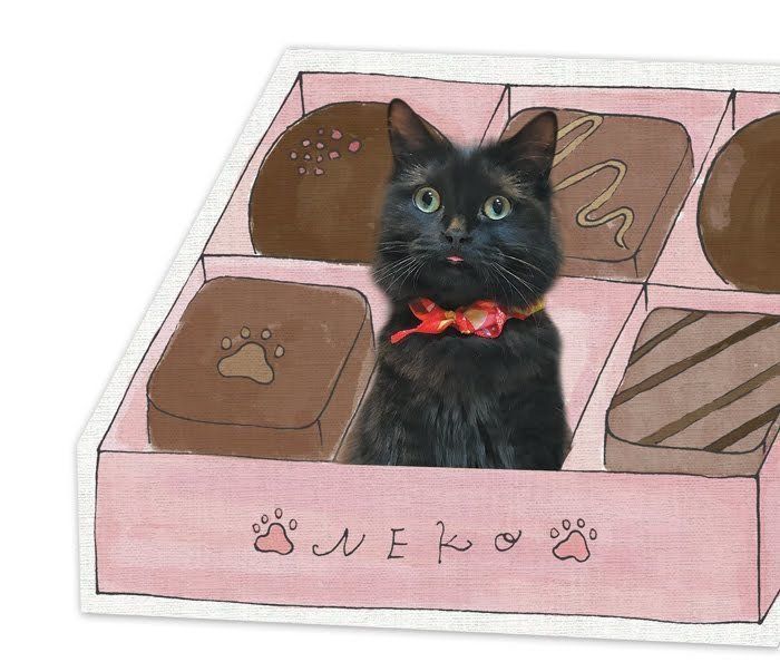 「ねこのきもち」2019年2月号