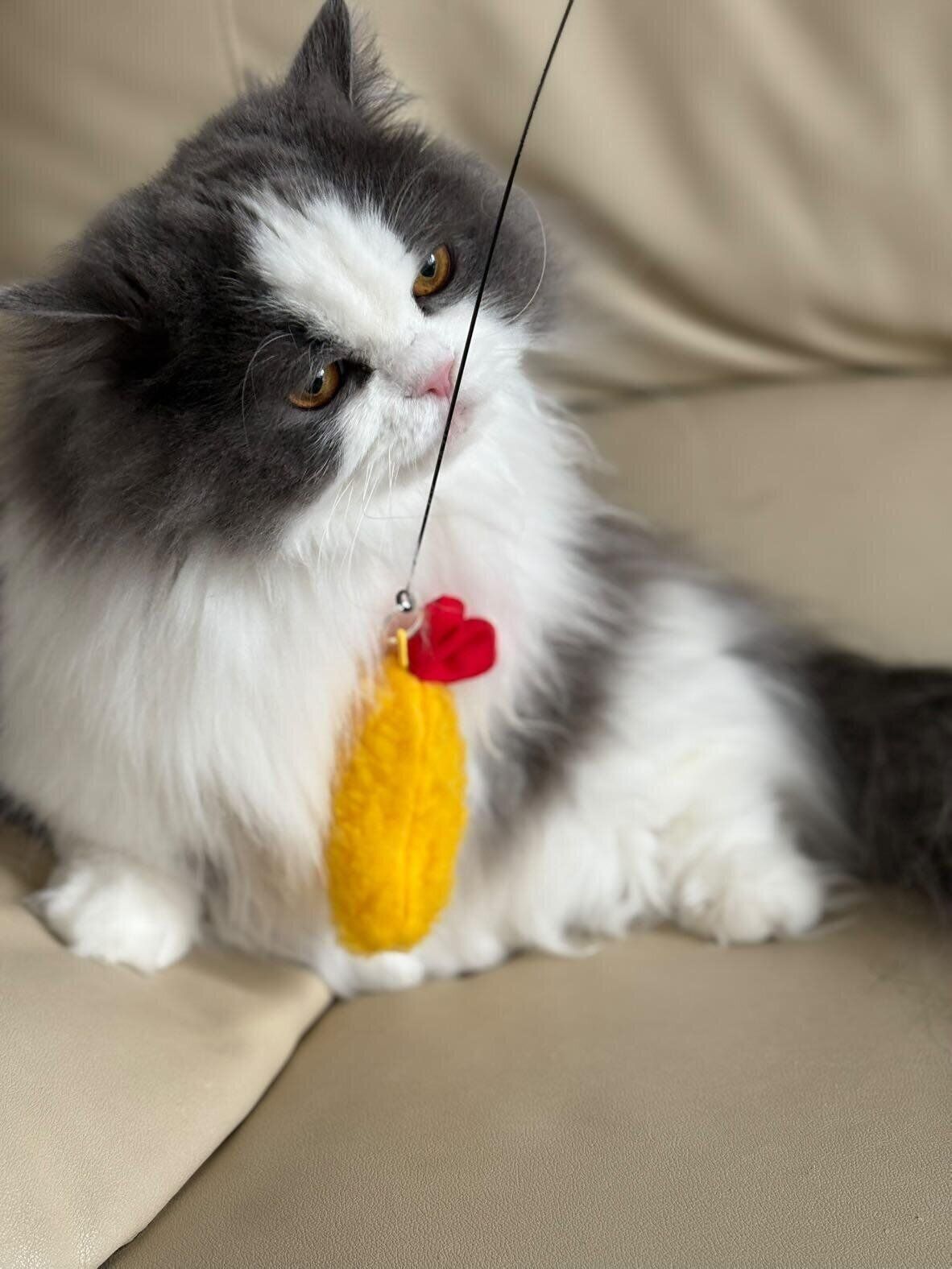 猫のえび屋にゃんこ日和作品