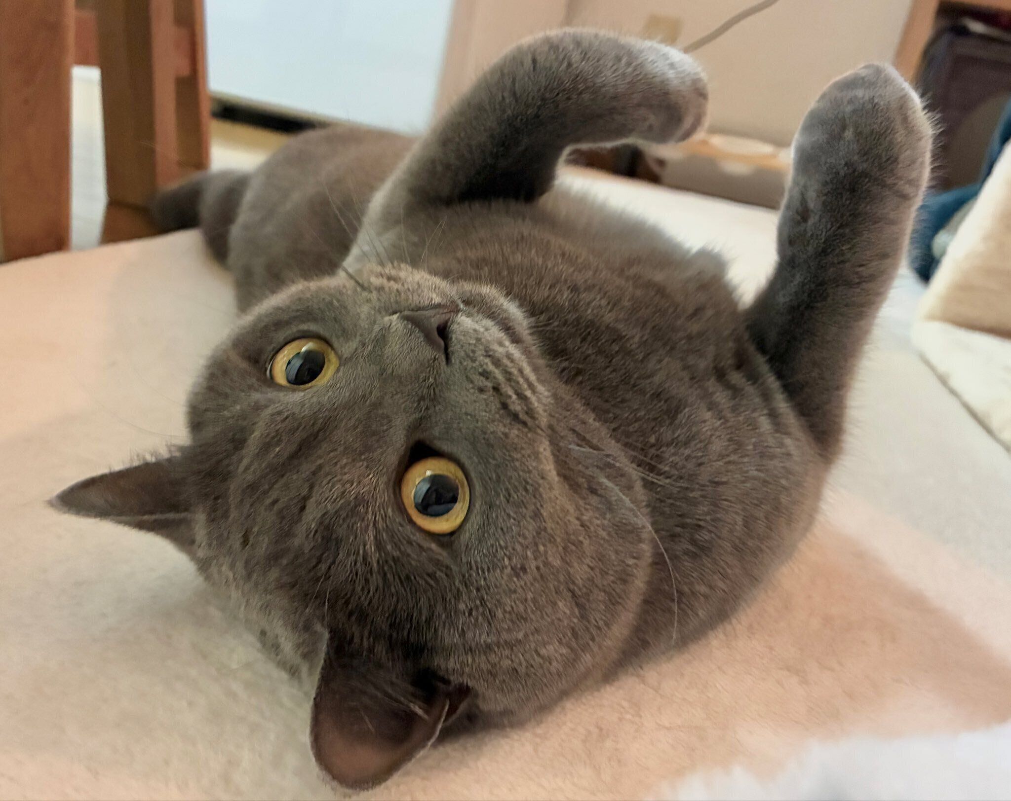 寝転がりながら遊ぶ安二郎くん