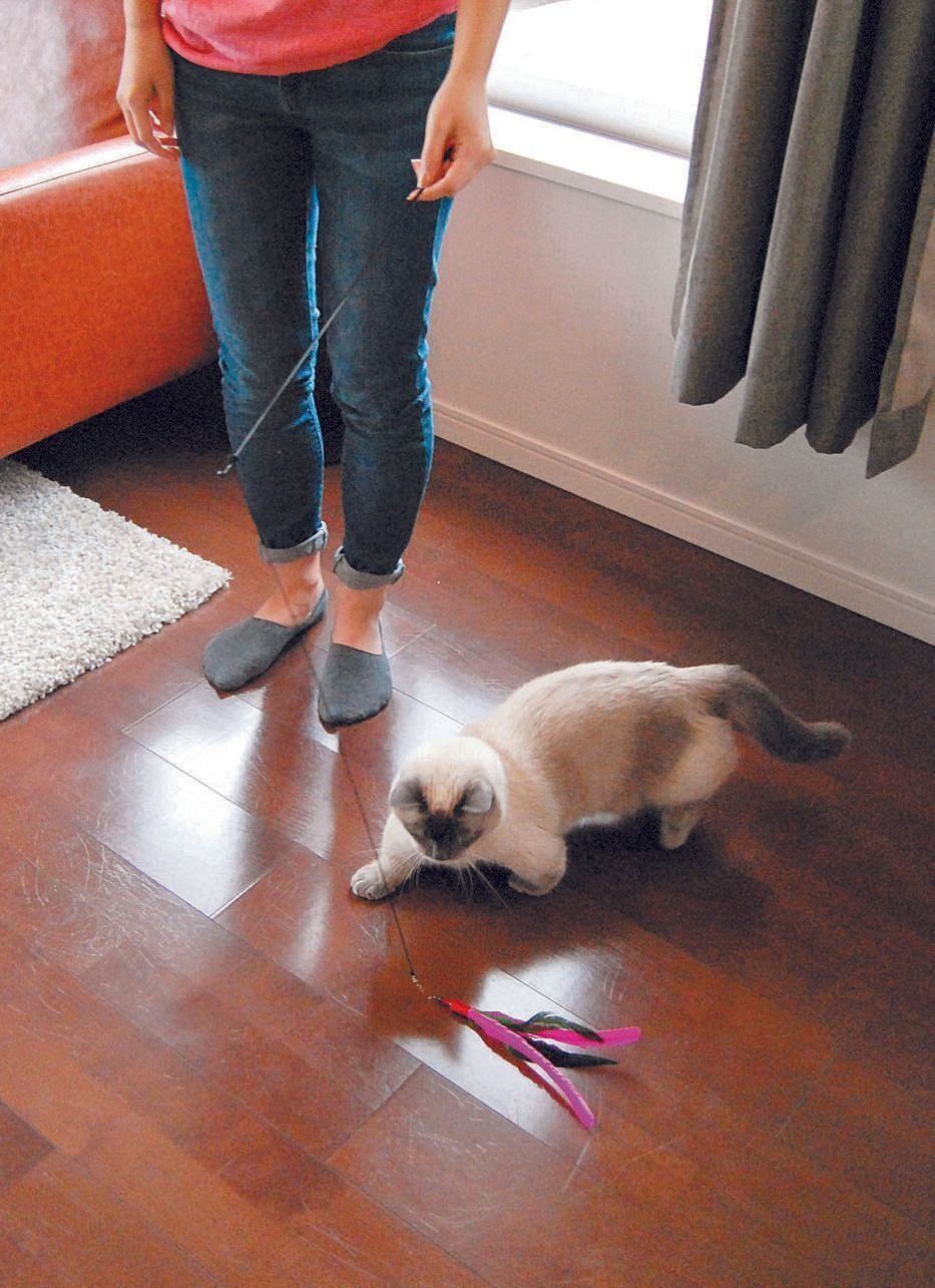 撮影／石原さくら