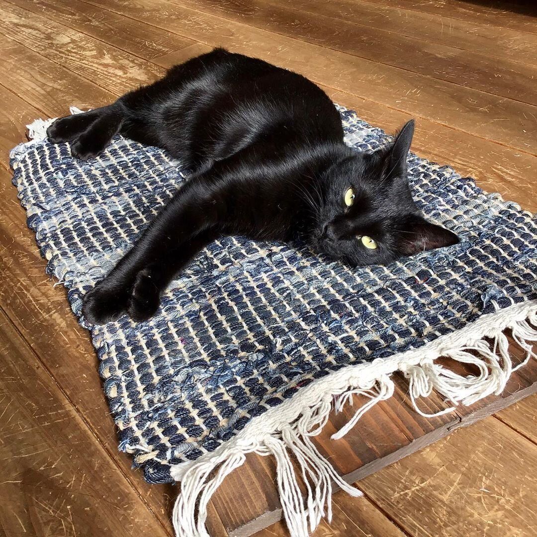 デニム素材の爪とぎ