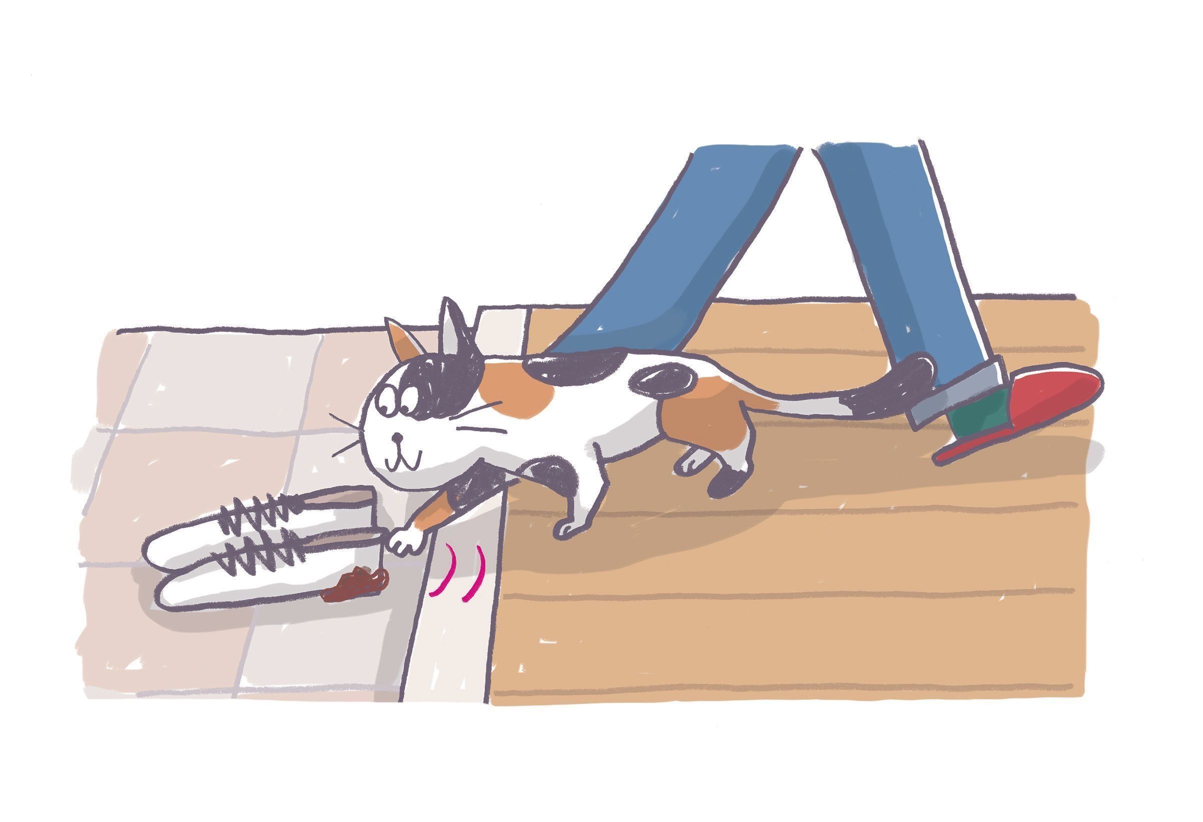 画像／ねこのきもち2020年２月号『猫の病気、そこが知りたい！』