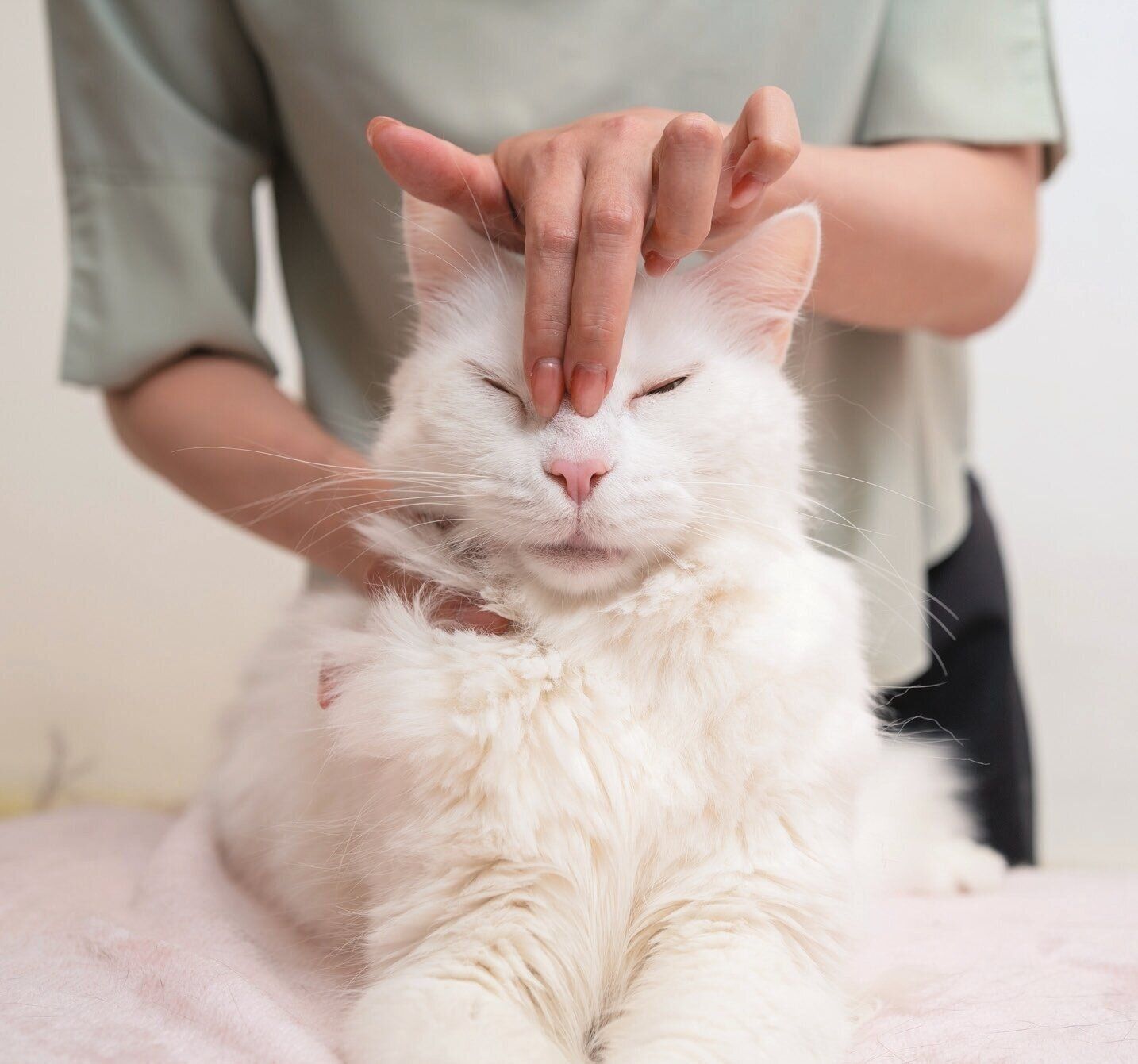 指先を使ってやさしくなでる