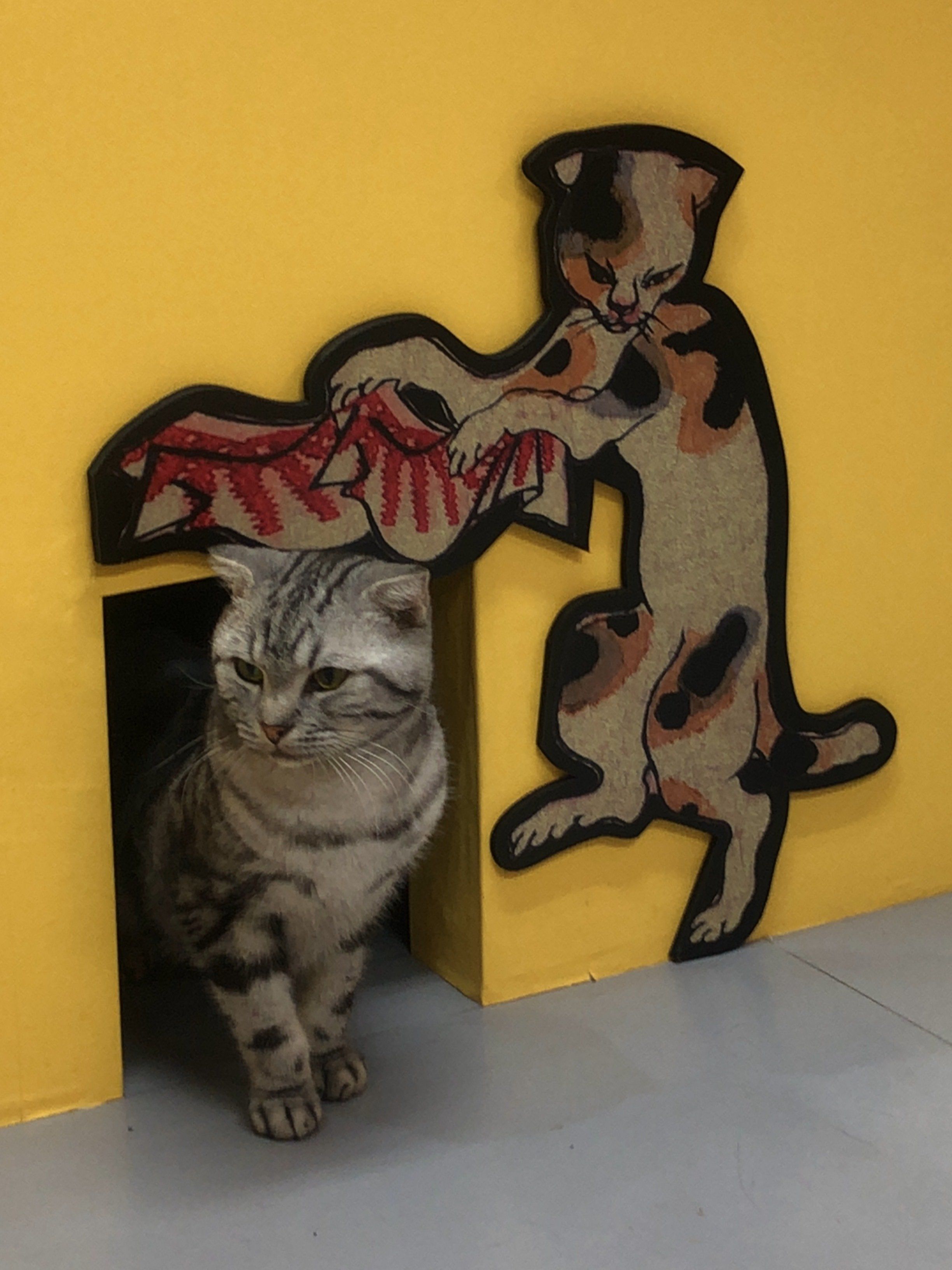 姿を現すおっしーくん