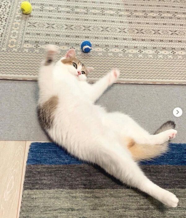 寝転がるなぎちゃん