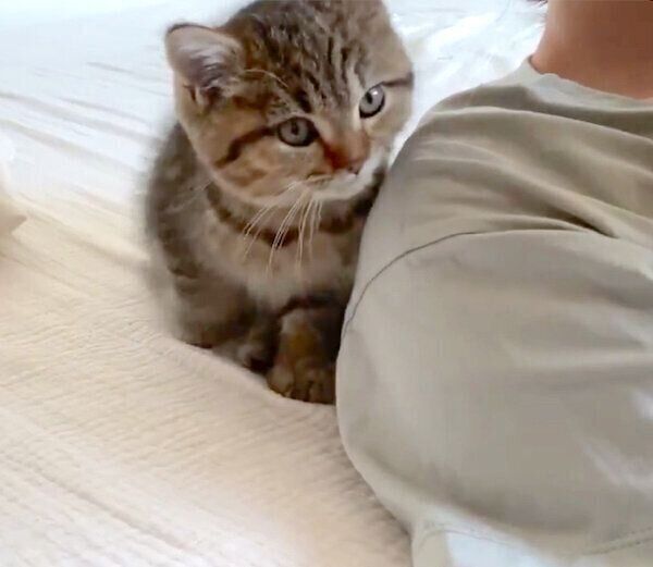 飼い主さんのところにやってきたどんぐりくん