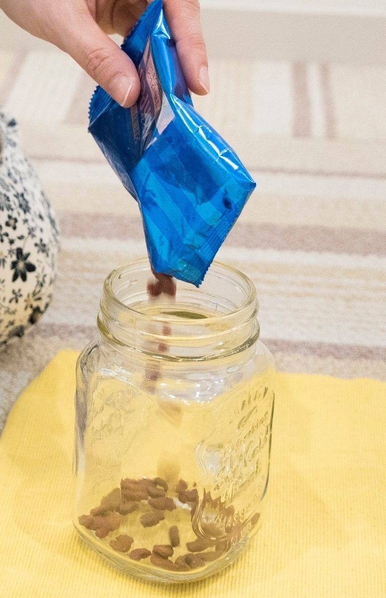 撮影／中川文作