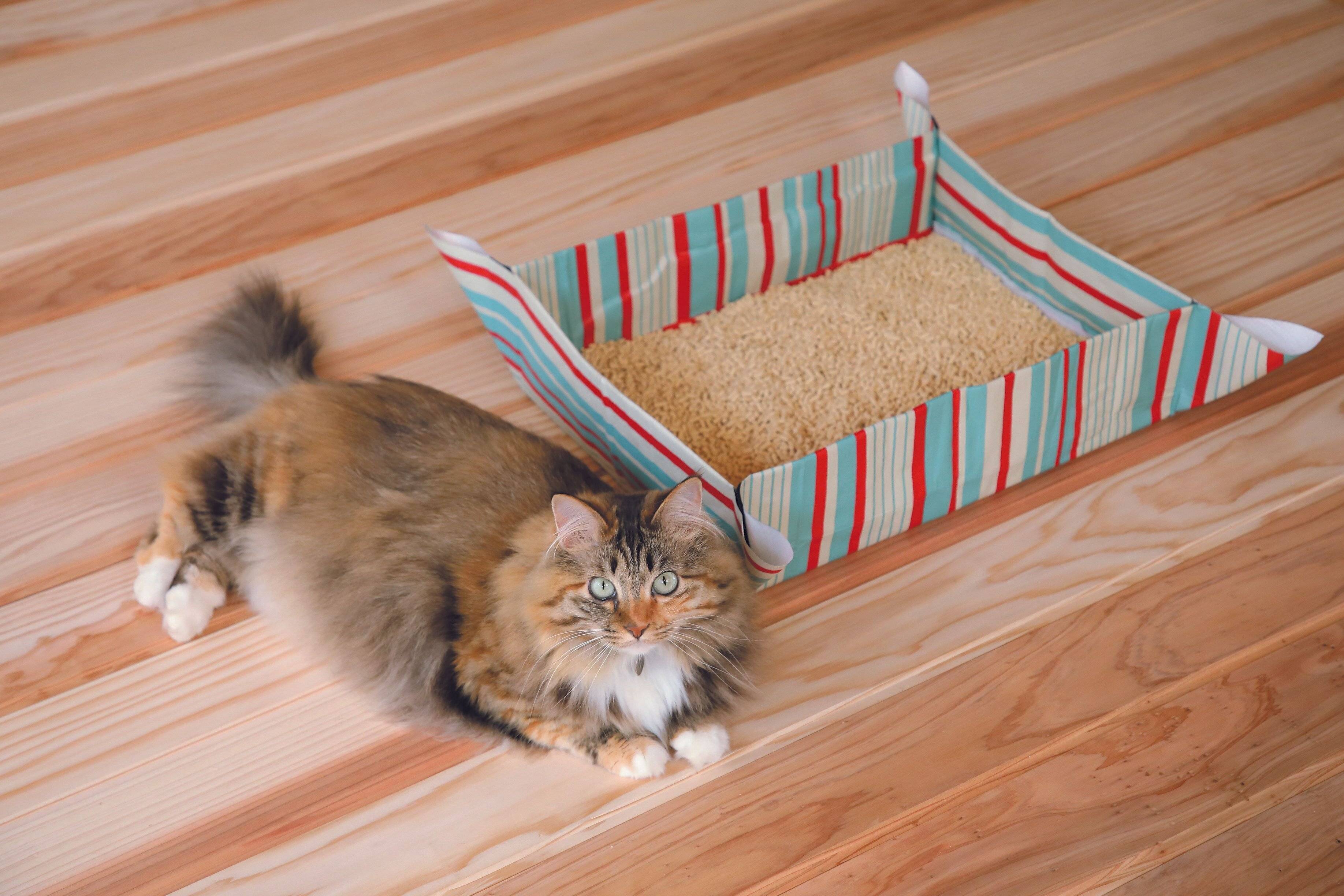 撮影／尾﨑たまき