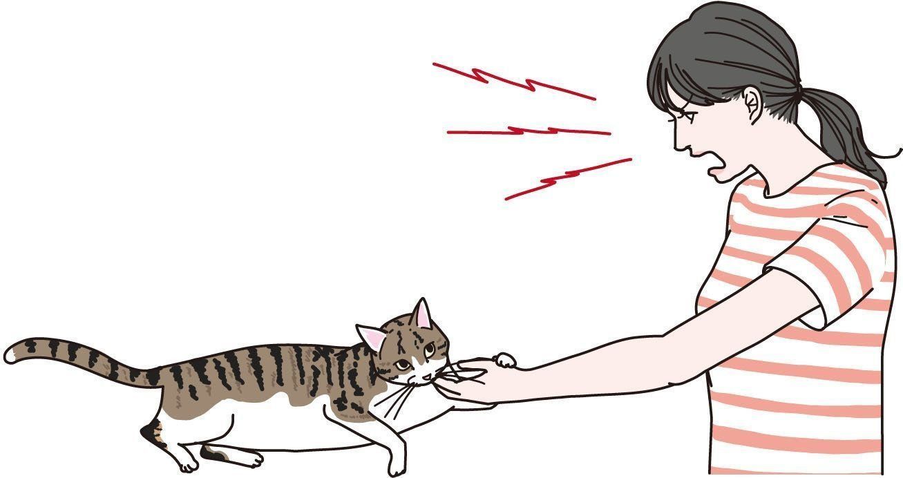 イラスト／二階堂ちはる