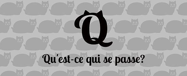 ブランド『qcqsps』