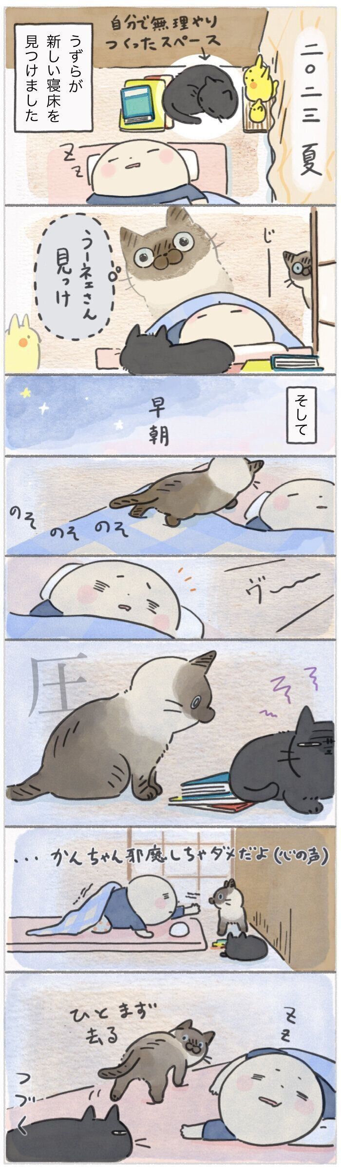 「ねこ連れ草」291話め