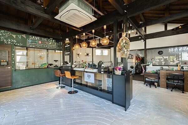 Cattonのジョートフルステーション