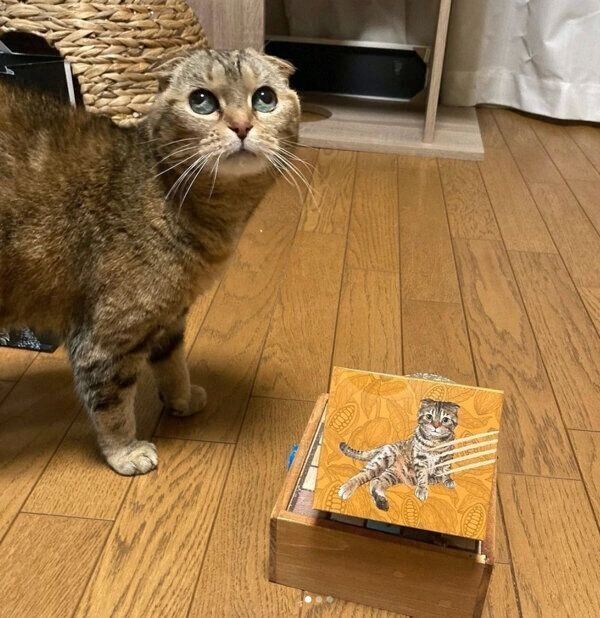 「CACAOCAT」のチョコレート