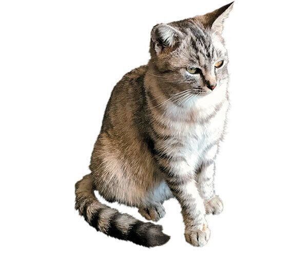 1才の頃の千美子ちゃん