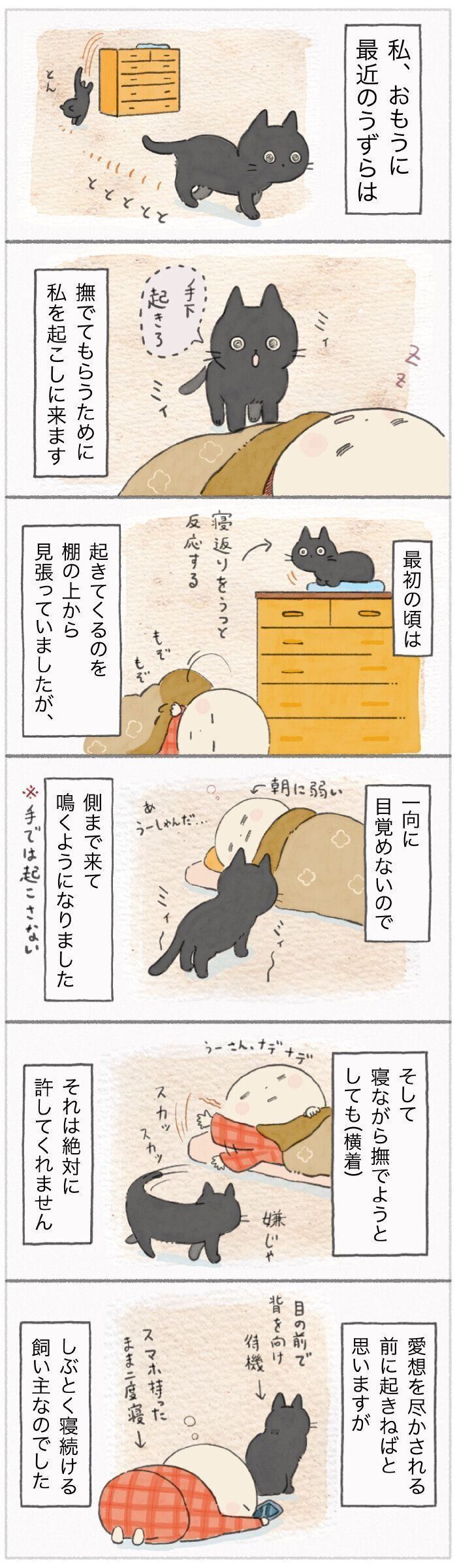 「ねこ連れ草」174話め