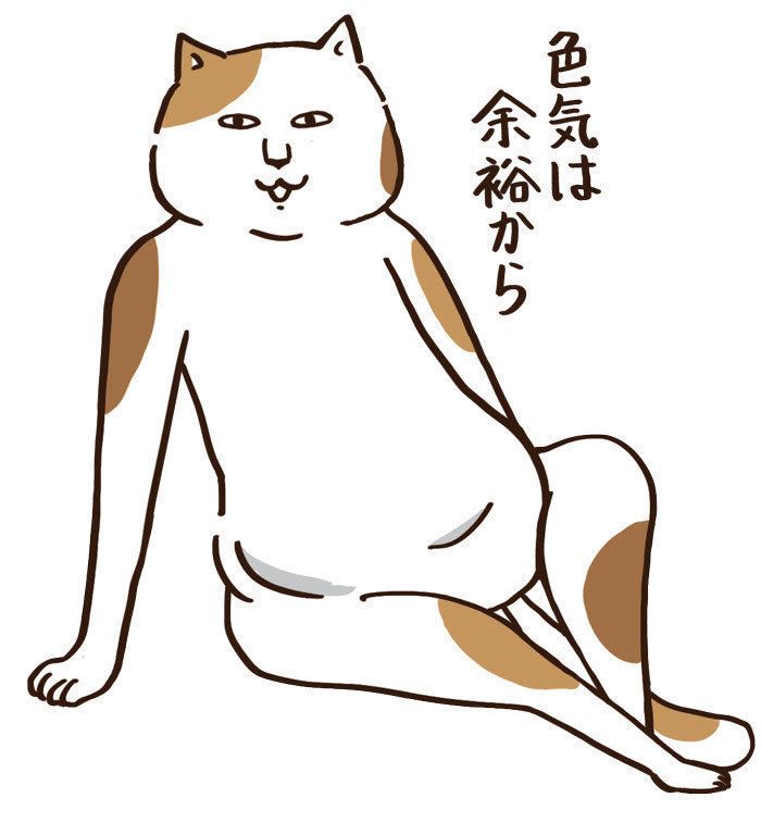 「ねこのきもち」2017年12月号