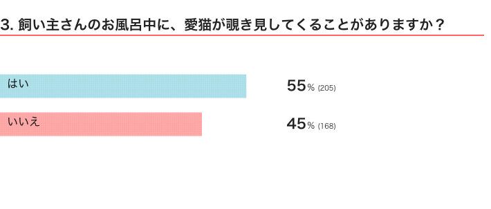 ねこのきもちWEB MAGAZINE『猫の行動に関するアンケートvol.08』