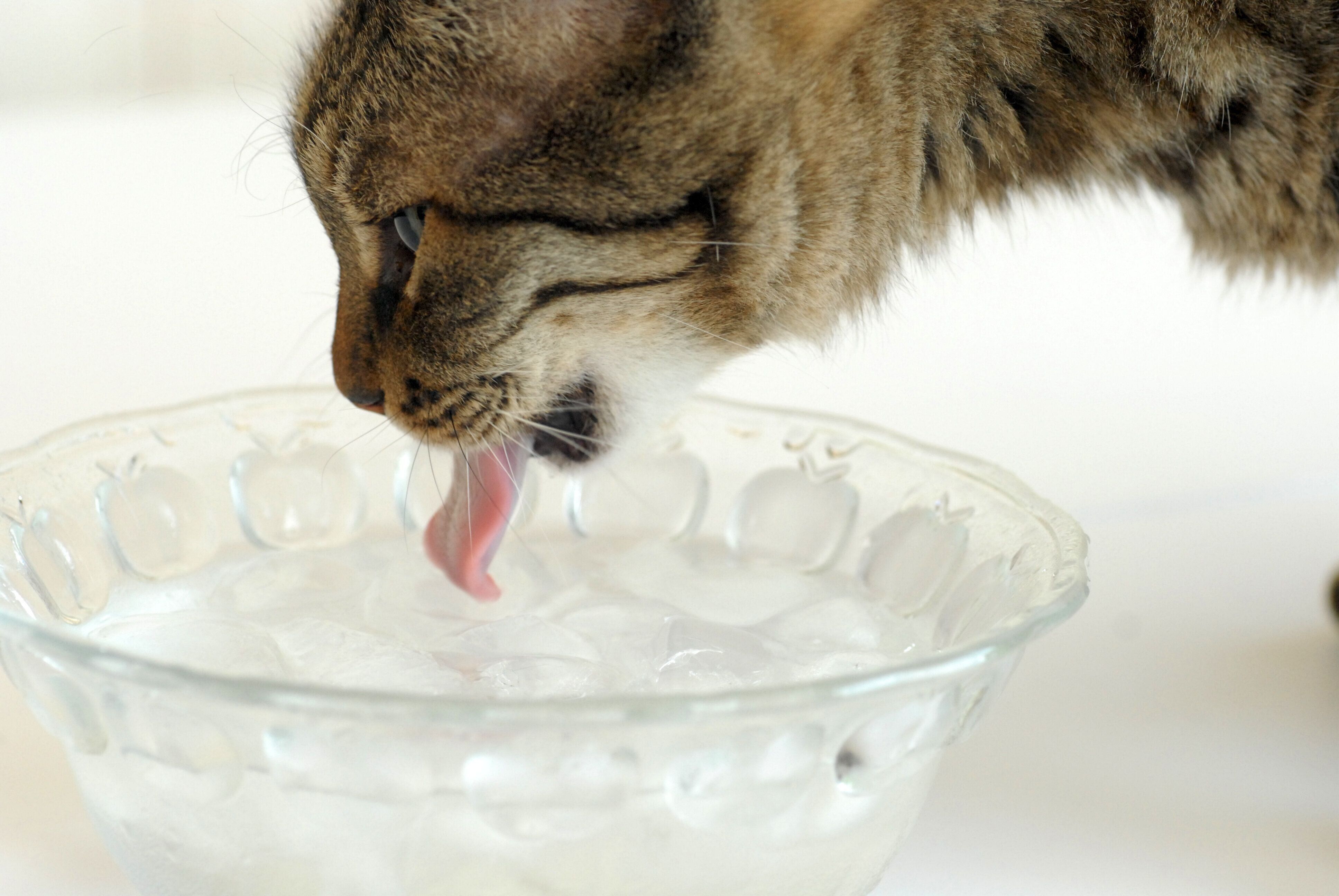 撮影／栗林　愛