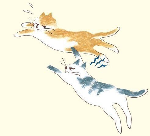 イラスト／mollydomon