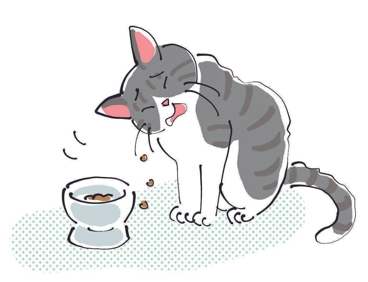 イラスト／はなさきロージー