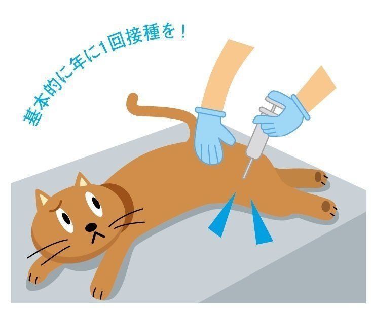 イラスト／石川日向