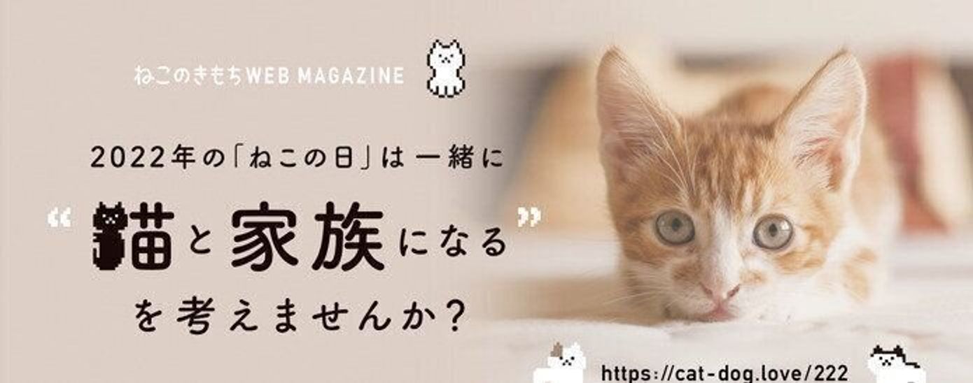22ねこの日 猫と家族になるを考える 特設サイト 2 22 ᴥ 更新 ねこのきもちweb Magazine 22ねこの日 猫と家族になるを考える 特設サイト 2 22 ᴥ 更新 ねこのきもちweb Magazine