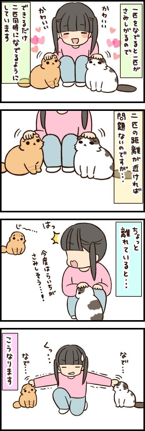「もふもふスコたん」40話目