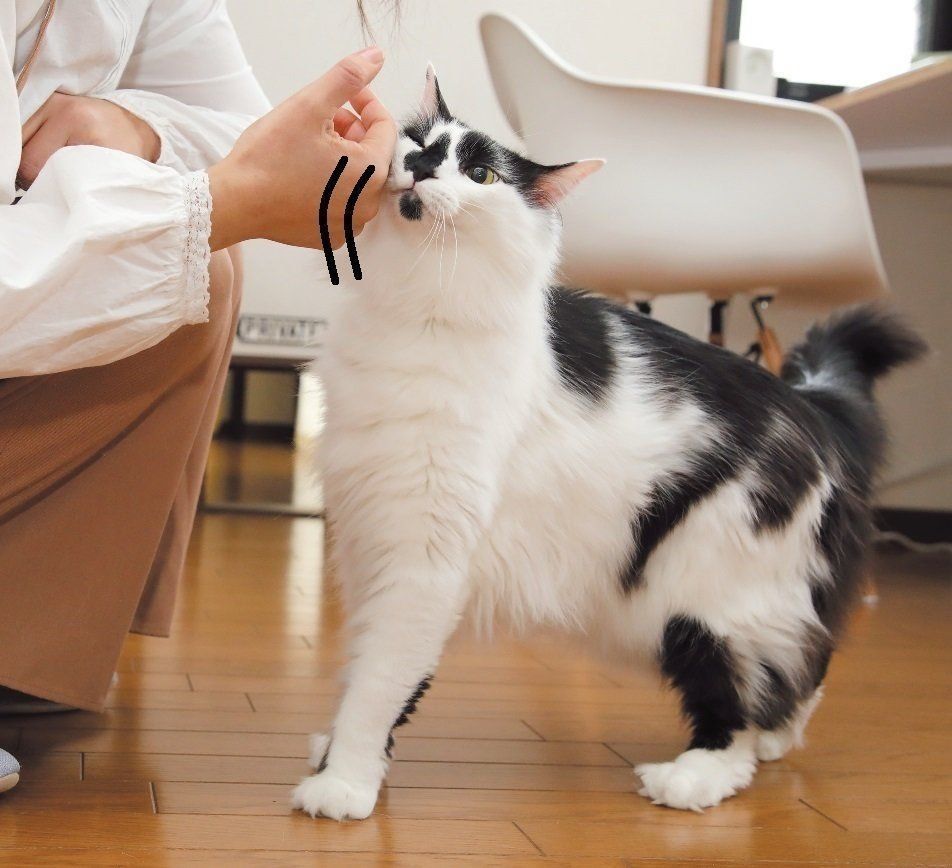 撮影／尾﨑たまき