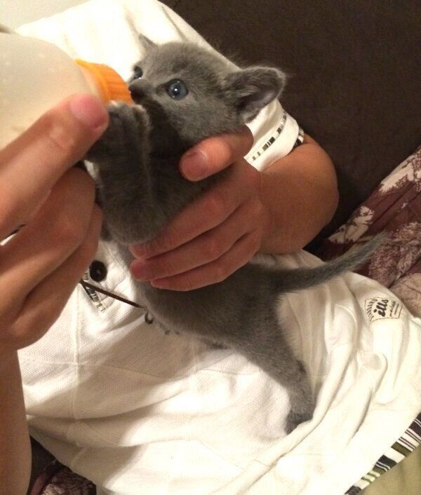 ミルクを飲むれおくん