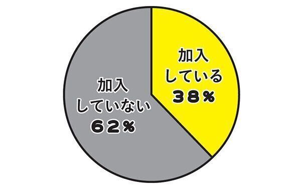 愛猫の保険に加入していますか？