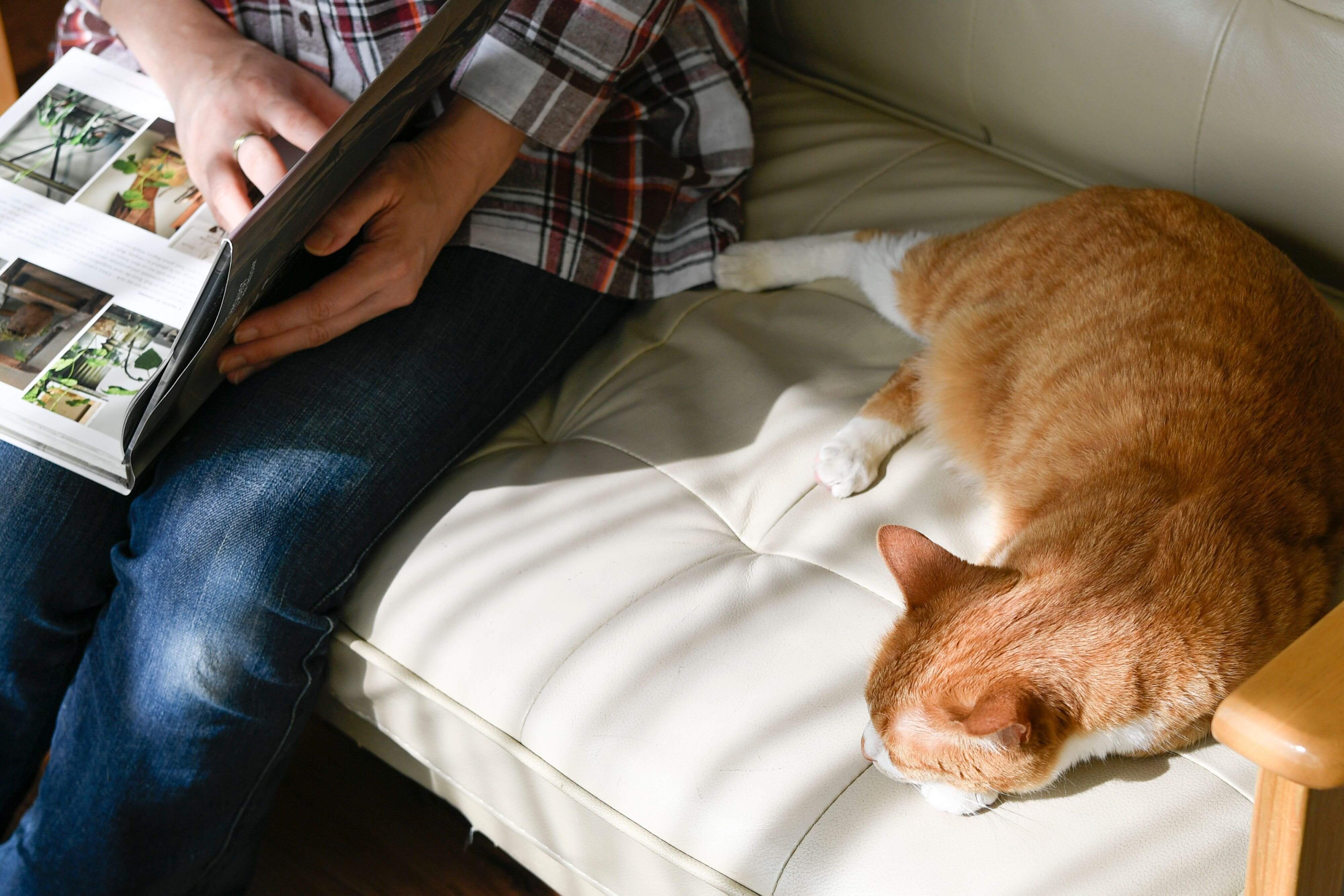 撮影／Akimasa Harada