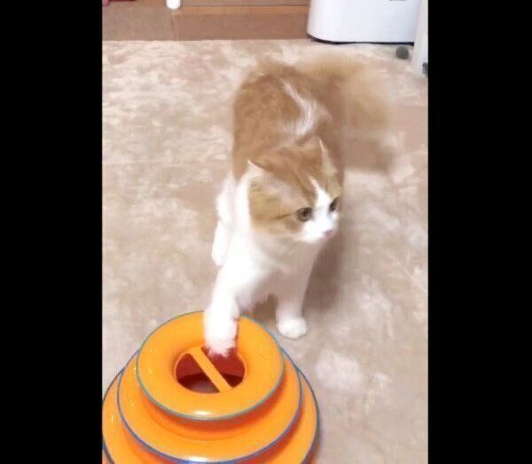 オラつくちのさん