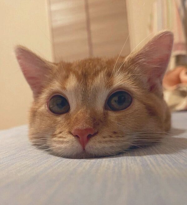 まったりするエリィちゃん